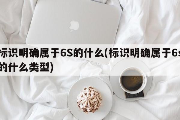 标识明确属于6S的什么(标识明确属于6s的什么类型)